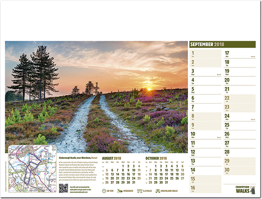 Stoborough Heath, near Wareham, Dorset
